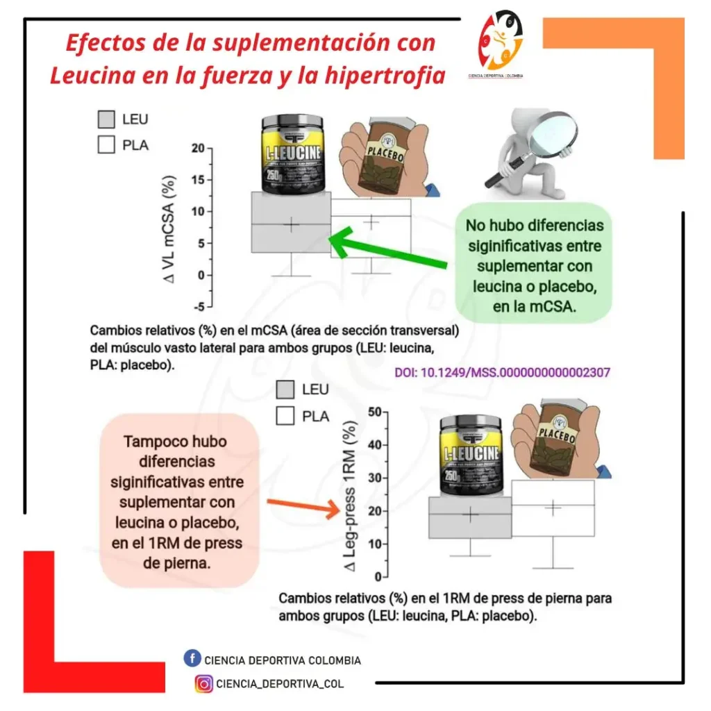 Efectos de la suplementación con leucina (1)