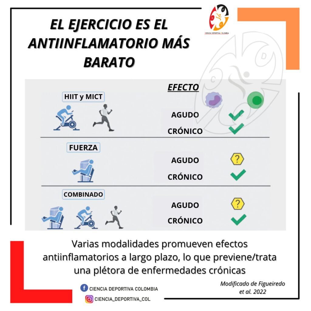 La inflamación crónica de bajo grado hace referencia a un estado de actividad de células inmunes sostenido en el tiempo