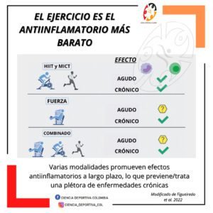 La inflamación crónica de bajo grado hace referencia a un estado de actividad de células inmunes sostenido en el tiempo