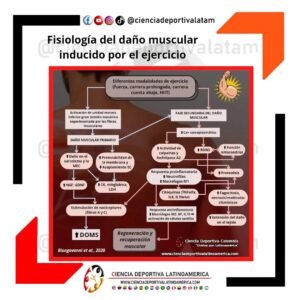 Fisiologia-del-Dano-Muscular