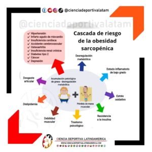 La-obesidad-no-es-solamente-la-mera-acumulacion-progresiva-de-masa-grasa-subcutanea-ciencia-deportiva-colombia-latam