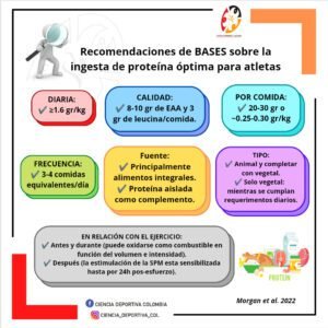 Recomendaciones-de-BASES-Asociacion-britanica-de-ciencias-del-deporte-y-el-ejercicio-basadas-en-evidencia-sobre-la-ingesta-de-proteina-para-atletas