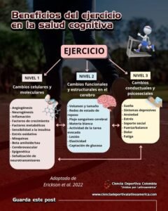 beneficios-del-ejercicio-en-la-salud-cognitiva, ciencias del deporte y la educación física, entrenamiento deportivo, ejercicio físico para la salud, ciencias del deporte y la educación física