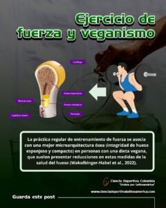 ejercicio-fuerza-y-veganismo