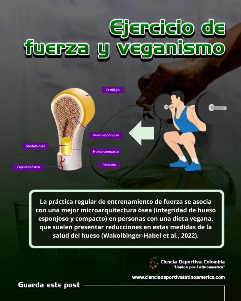 ejercicio-fuerza-y-veganismo