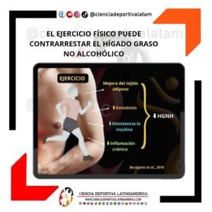 higado-graso-no-controlado, ciencias del deporte y la educación física, entrenamiento deportivo, ciencia deportiva colombia latinoamerica latam