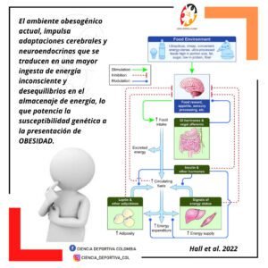 obesidad-es-multifactorial-y-ademas-tremendamente-compleja-ciencia-deportiva-latam