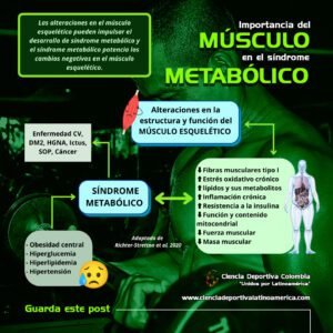 sindrome-metabolico-en-el-musculo, ciencia deportiva colombia latinoamérica latam, ciencias del deporte y la educacion fisica