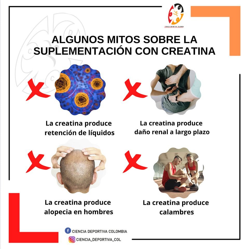 suplementacion-creatina