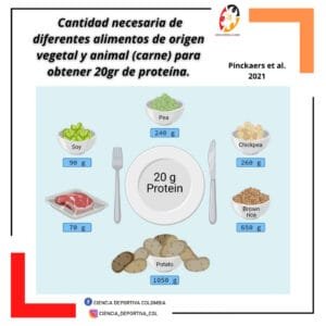 Cantidad-necesaria-de-diferentes-alimentos-de-orgen-vegetal-y-animal-carne-para-obtener-20gr-de-proteina