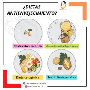 dietas-antienvejecimiento