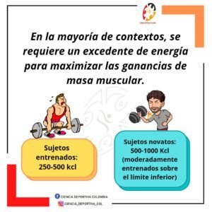 excedente-de-energia-para-maximizar-las-ganancias-de-masa-musuclar-ciencia-deportiva-colombia-latinoamerica-latam-entrenamiento-deportivo-ejercicio-fisico-educacion-fisica