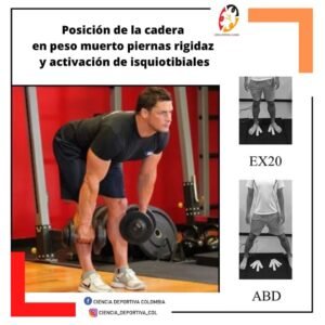 posicion-de-la-cadera-en-peso-muerto-ciencia-deportiva-colombia-latinoamerica