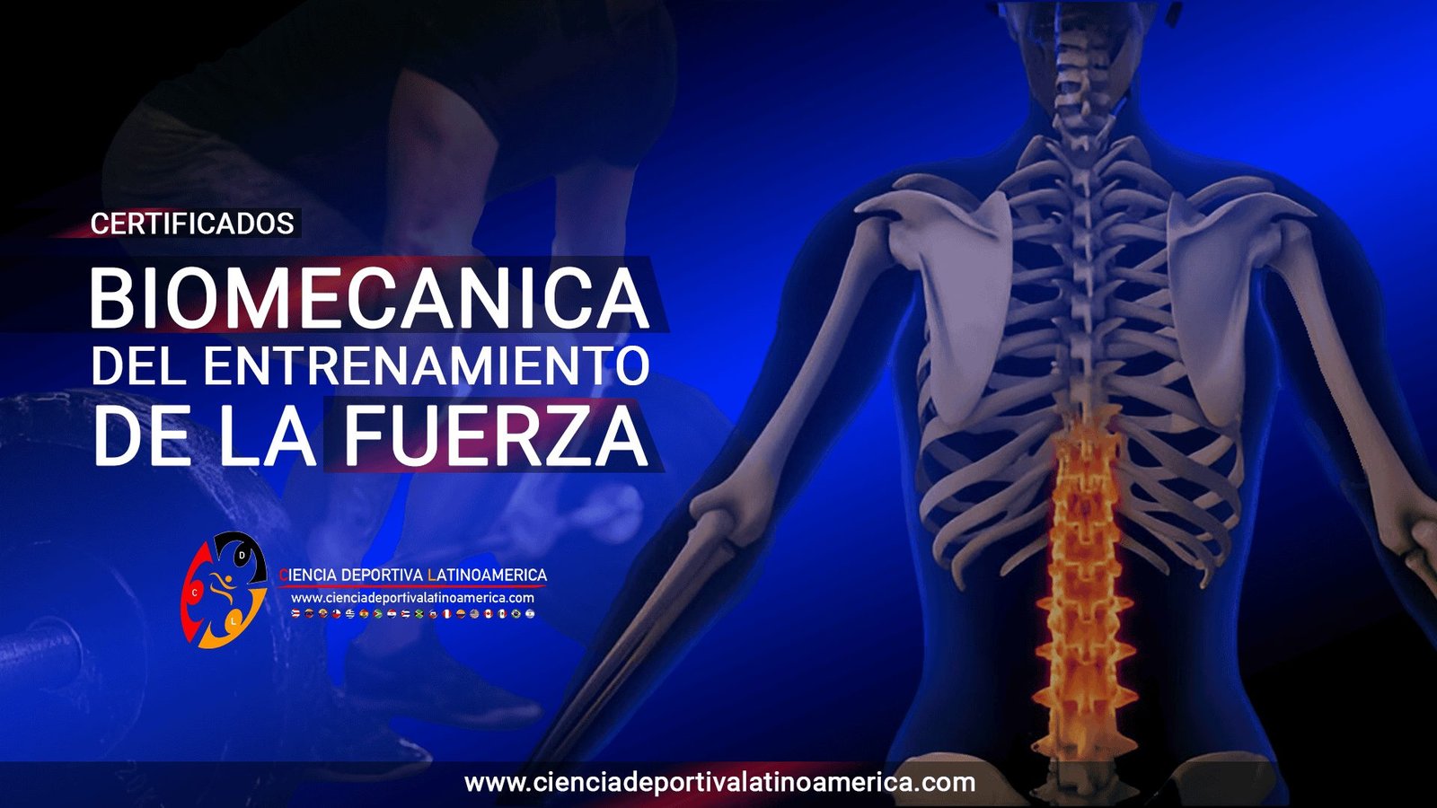 biomecánica-del-entrenamiento-de-la-fuerza,-ciencia-deportiva-colombia-latinoamérica-latam,-entrenamiento-deportivo