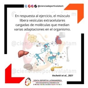 entrenamiento deportivo, ciencia deportiva latinoamérica latam