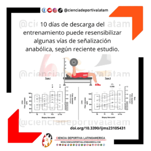 Descargas del entrenamiento de fuerza y resensibilización de la señalización anabólica