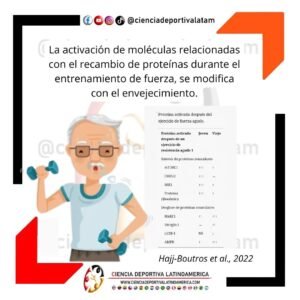 Cambio de proteínas durante el entrenamiento de fuerza modifica con el envejecimiento