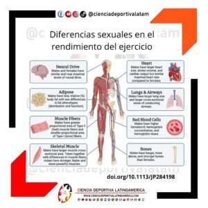 Diferencias sexuales en el rendimiento del ejercicio