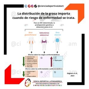 Distribución de la grasa, ciencia deporitva colombia latinoamérica latam
