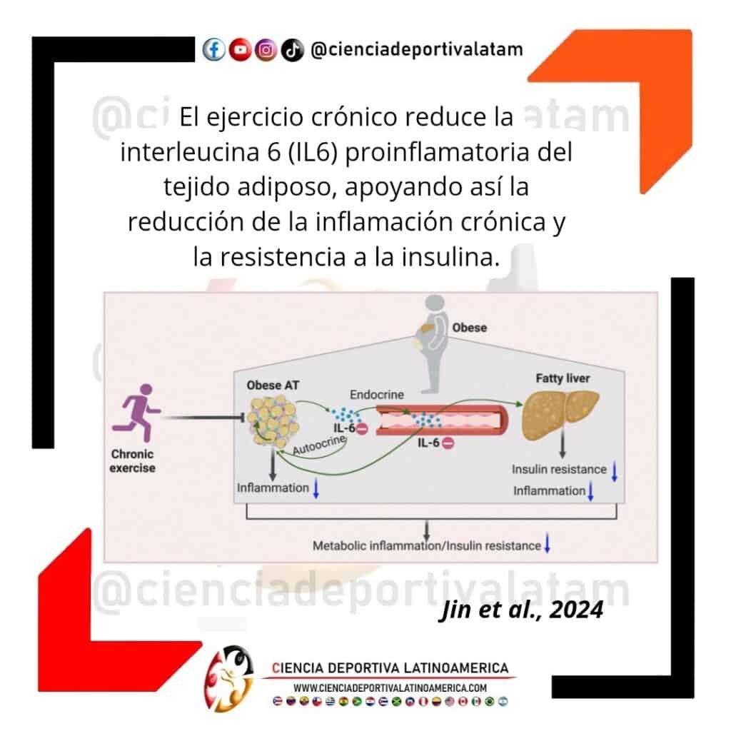 El Ejercicio Crónico reduce la Interleucina 6