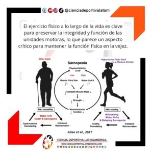 El Ejercicio Físico a lo largo de la vida, ciencia deportiva colombia latinoamerica latam, ciencias del deporte, entrenamiento deportivo