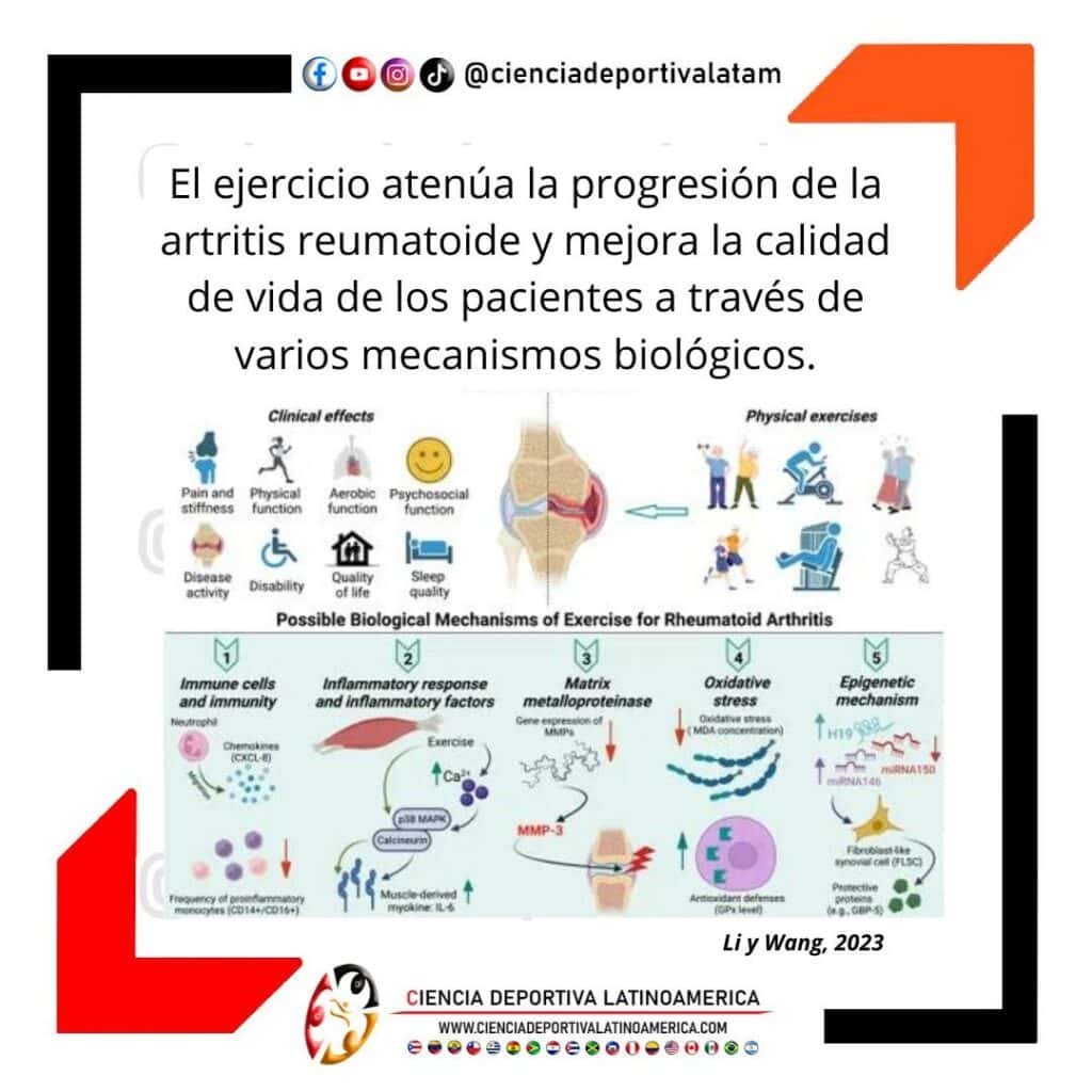  El ejercicio mejora varios parámetros clínicos en personas con artritis reumatoide