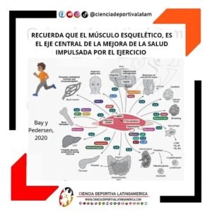 El músculo esquelético es el eje central de la mejora de la salud