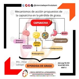 Mecanismos de acción de la capsaicina en la perdida de grasa