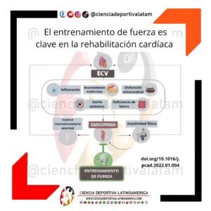 El entrenamiento de fuerza es clave en la rehabilitación cardíaca