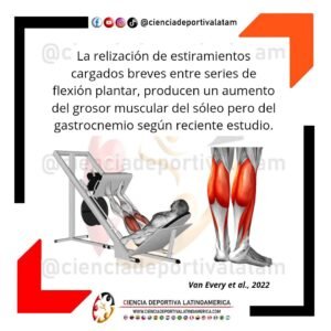 Estiramientos cargados breves entre serioens de flexión plantar