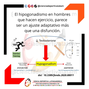 Hipogonadismo en hombres que hacen ejercicio: ¿Disfunción o adaptación?