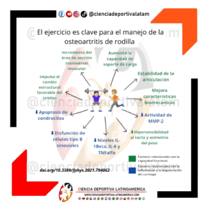 El ejercicio es clave en el manejo de la osteoartritis de rodilla