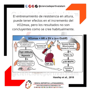Adaptaciones al entrenamiento de resistencia en altura