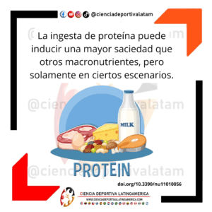 Ingesta de proteínas y saciedad