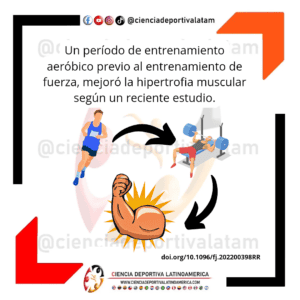 Ejercicio aeróbico previo al entrenamiento de fuerza e hipertrofia muscular