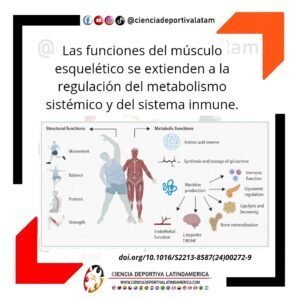 Funciones sistémicas del músculo esquelético