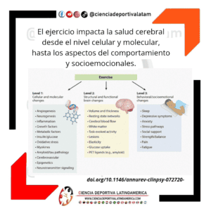 Ejercicio y salud cerebral