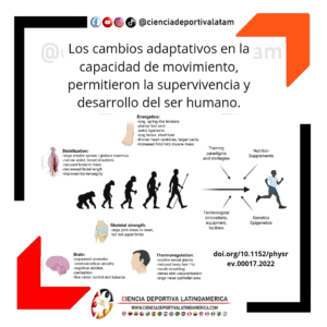 Movimiento y evolución humana