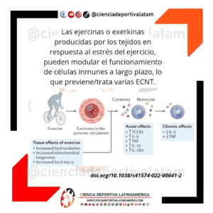 Regulación de la función inmune por ejercinas