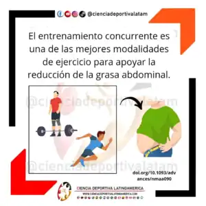 Entrenamiento concurrente y reducción de la grasa abdominal
