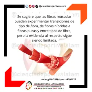 Transición del tipo de fibra con el entrenamiento