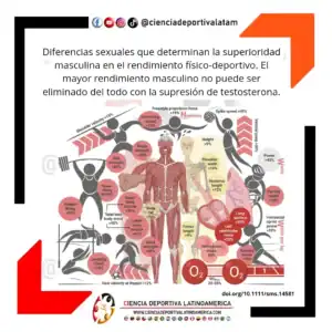 Diferencias sexuales en el rendimiento del ejercicio