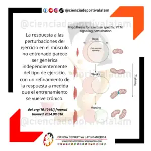 La paradoja de las adaptaciones moleculares al ejercicio