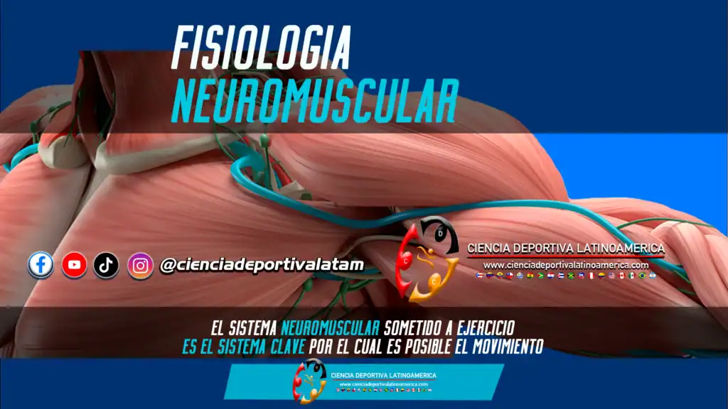 Fisiología-Neuromuscular