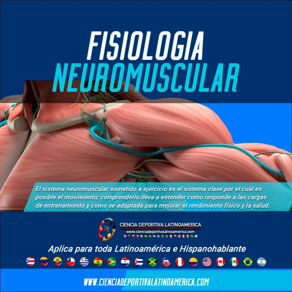 Fisiología-Neuromuscular
