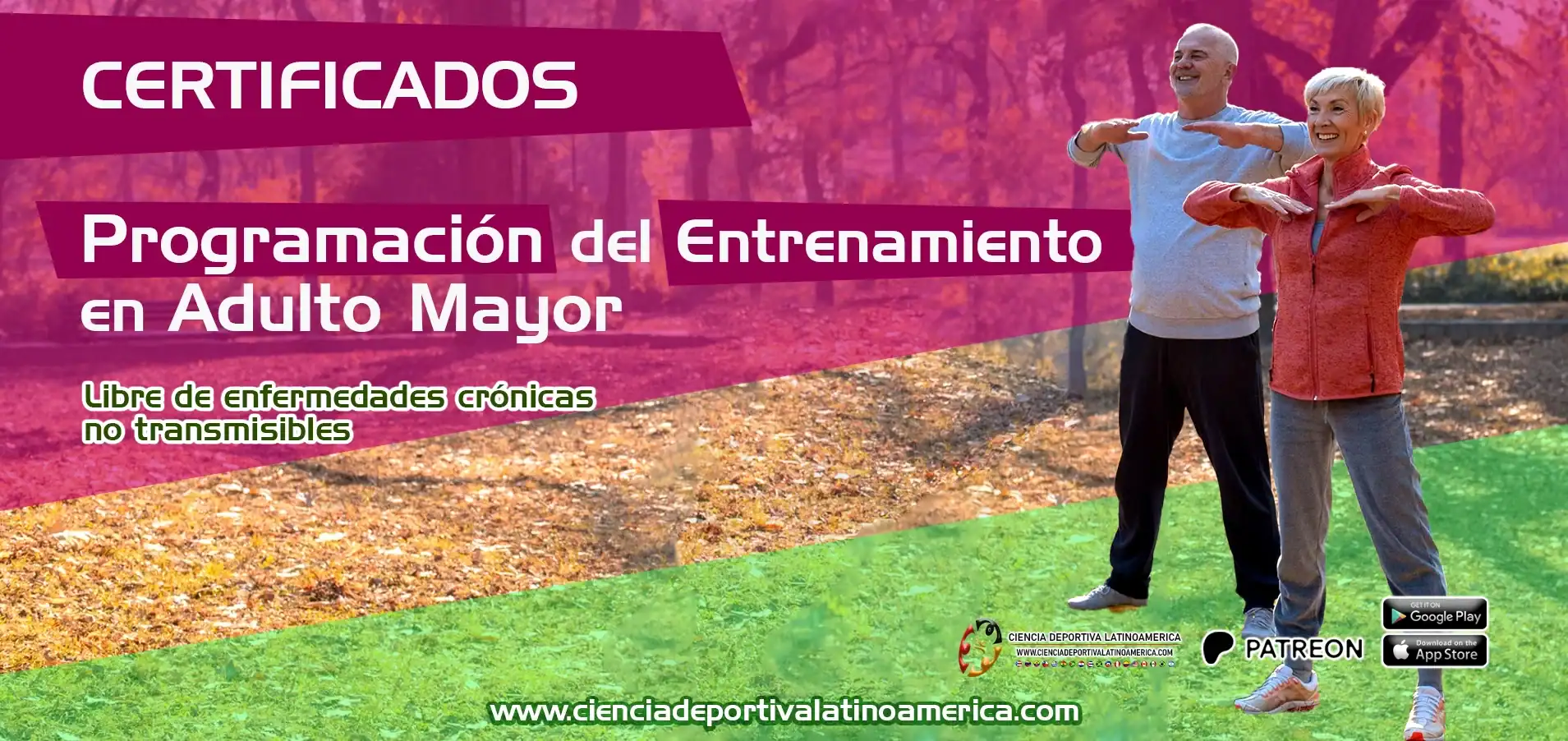 Programación de entrenamiento para adultos mayores en actividades físicas, promoviendo la salud y bienestar con certificados y sin enfermedades crónicas.