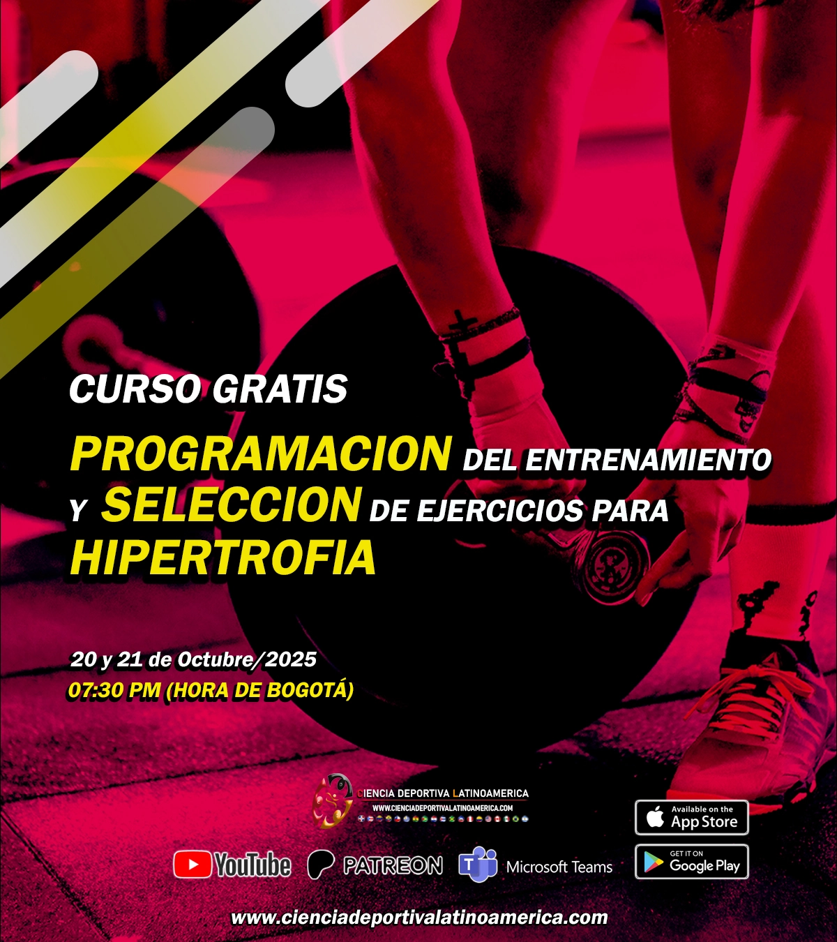 Programación del entrenamiento y selección de ejercicios para hipertrofia