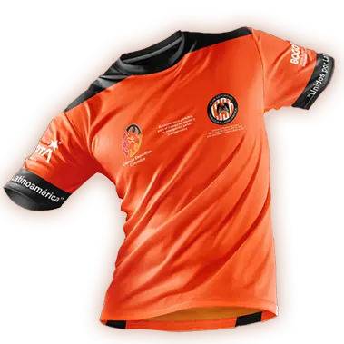 CAMISETA (1)