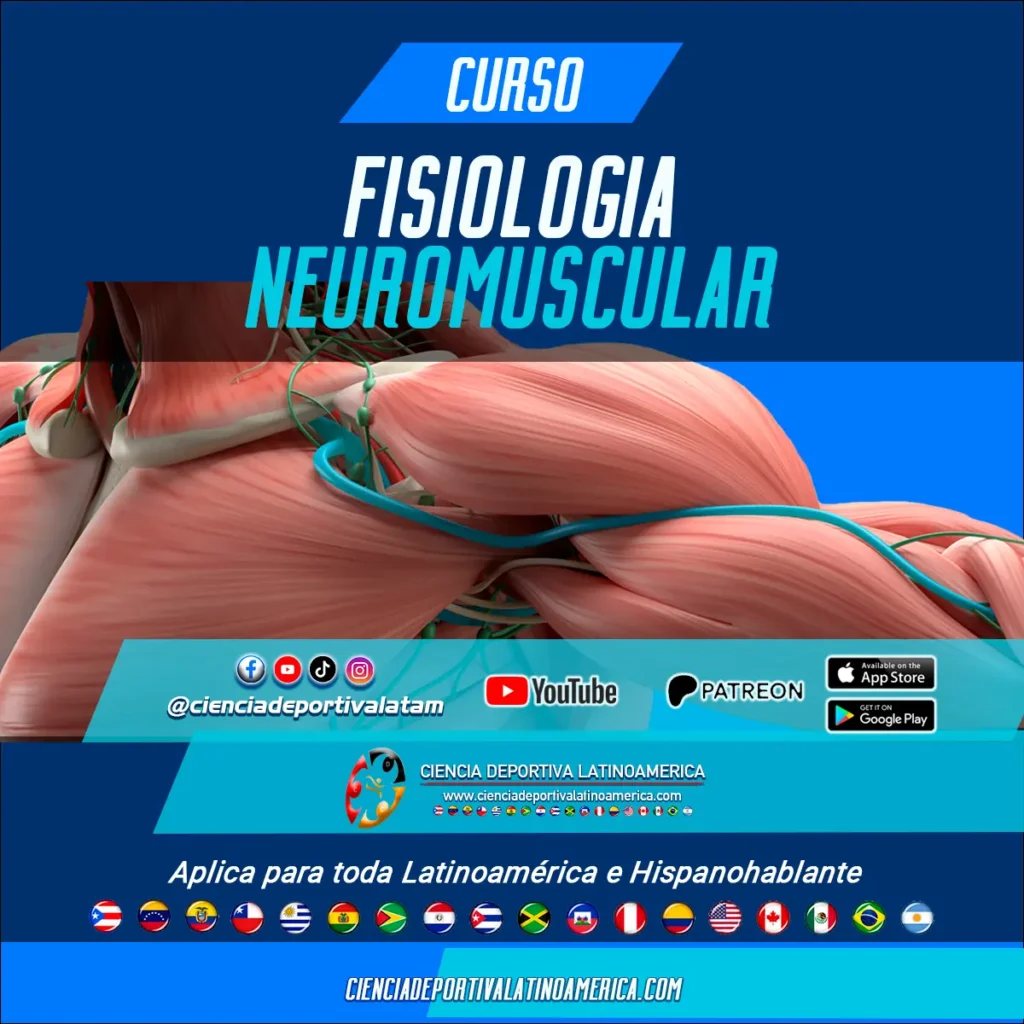 Fisiología-Neuromuscular